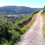 rode wijn wandelroute rotweinwanderweg ahrtal ahrdal eifel duitsland