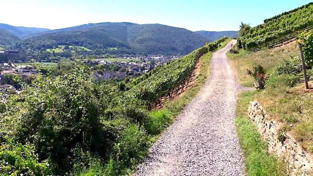 rode wijn wandelroute rotweinwanderweg ahrtal ahrdal eifel duitsland