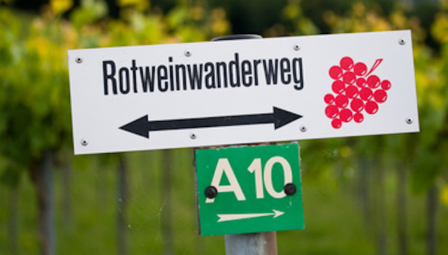 rode wijn wandelroute rotweinwanderweg