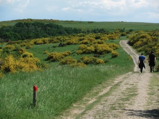 wandelen in het nationaal park eifel