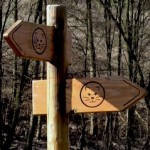 wildnis trail wandelroute eifel duitsland wegwijzer