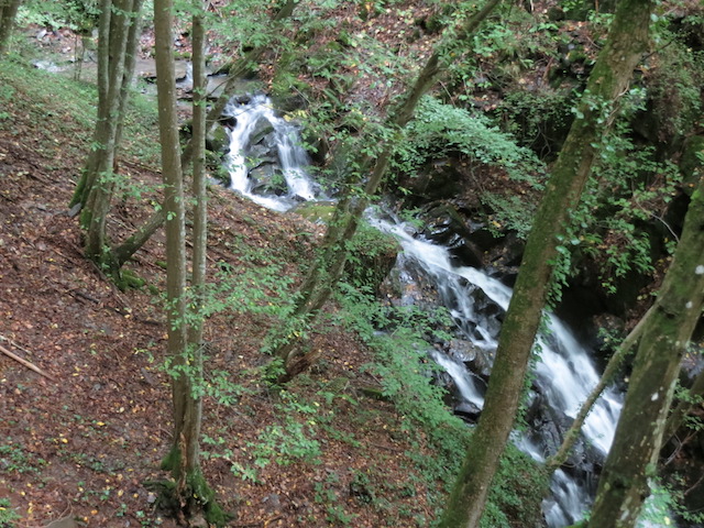 waterval watervallen eifel duitsland wandelen bezienswaardigheden