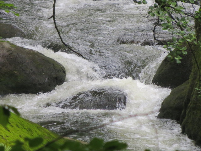 waterval watervallen wasserfalle eifel duitsland bezienswaardigheden