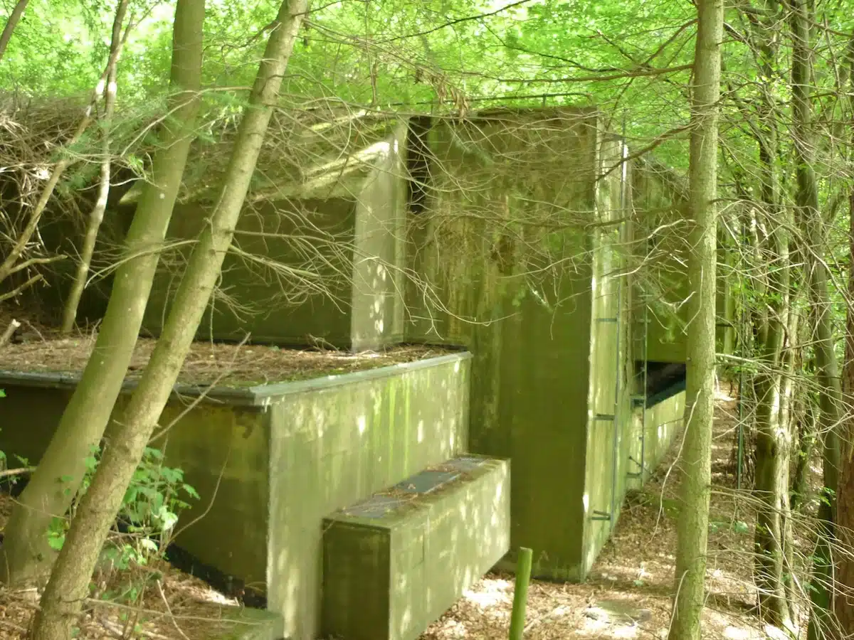bunker in de eifel. de bunker staat verscholen in het bos. het beton is groen uitgeslagen.