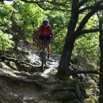 Mountainbike MTB Eifel Duitsland