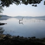 Laacher See kratermeer in de Eifel Duitsland Vulkaaneifel