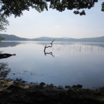 laacher see maria laach eifel duitsland vulkaan kratermeer meer zwemmen