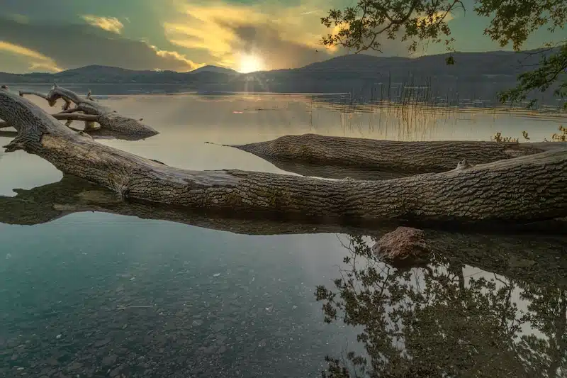 laacher see in de vulkaaneifelk. het meer in het schemer bij ondergaande zon met op de voorgrond een boomstam in het water