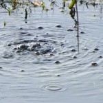 vulkanische activiteit Laacher See CO2 borrelt omhoog