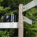 wandelen landal wirfttal eifel