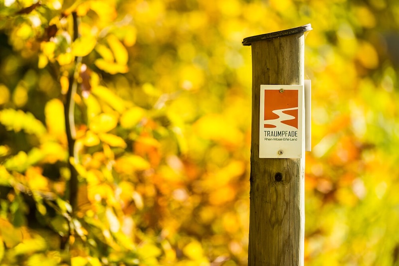 wegwijzer op traumpfad wandelroutes in de eifel.oranje bordje op houten paal
