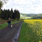 wandelen eifel duitsland wandelroute hiking