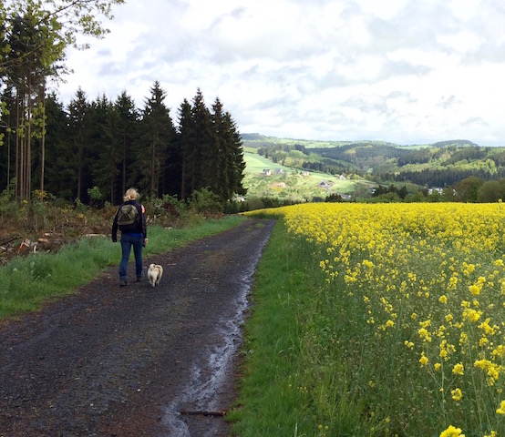 wandelen eifel duitsland wandelroute hiking