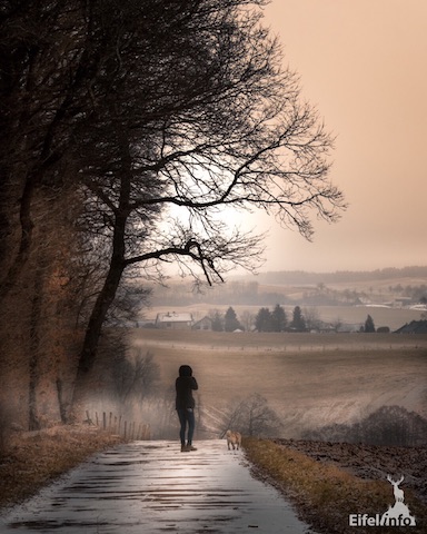 winter winterwandeling wandelroute eifel duitsland