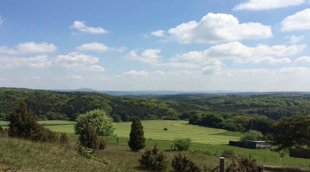 eifel landschap groen zomer