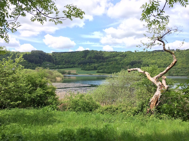 meerfelder maar meerfeld eifel duitsland vulkaaneifel meer natuur maar