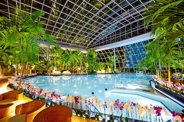 Thermen & Badewelt Euskirchen wellness subtropisch zwembad zwemparadijs sauna