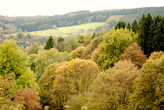 herfst eifel duitsland natuur vakantie herfstvakantie