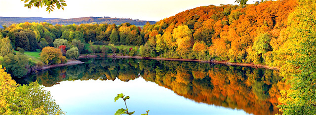 herfst eifel duitsland vakantie herfstvakantie