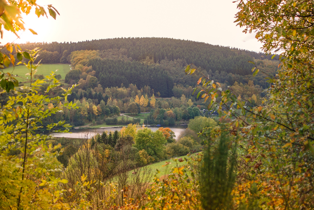 Eifel herfstvakantie herfst duitsland