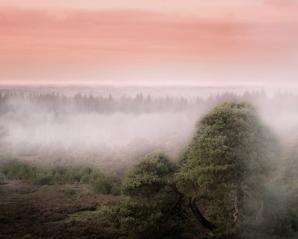 herfst herfstvakantie vergezichten uitzicht mist landschap eifel duitsland