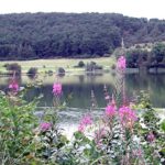 immerath immerather maar eifel vulkaaneifel duitsalnd