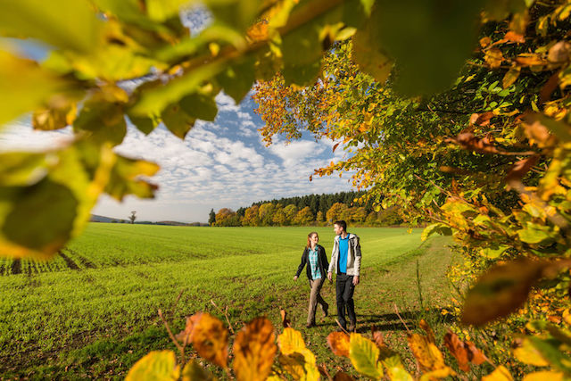 wandelen moezel eifel traumpfad eltzer burgpanoram