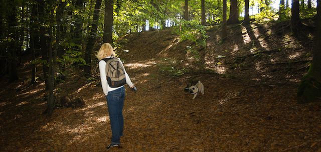 wandelroute felsenweg 5 eifel hiking