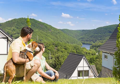 Landal Eifeler Tor. het prachtige bungalowpark in het Nationaal Park Eifel in Duitsland. De bungalows hebben uitzicht op de Rursee.