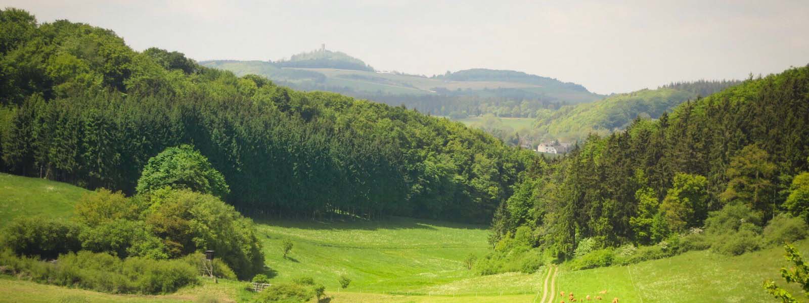 Bungalowparken, Vakantiehuizen en vakantie aanbiedingen in de Eifel in Duitsland.