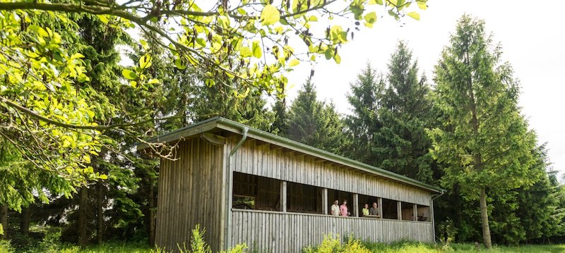 De spotplaats in het Nationaal Park Eifel. Ideaal om herten de observeren. Uitzicht op het Dreiborn plateau.