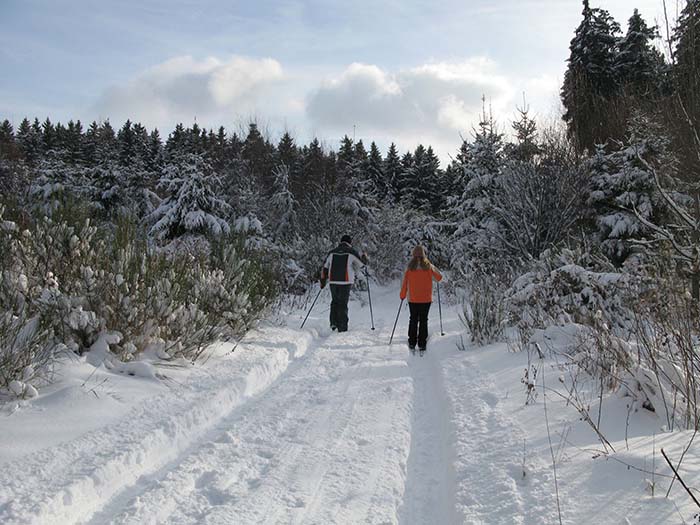 Langlaufen in de Eifel in Duitsland. Bij sneeuw worden de loipes gespoord.