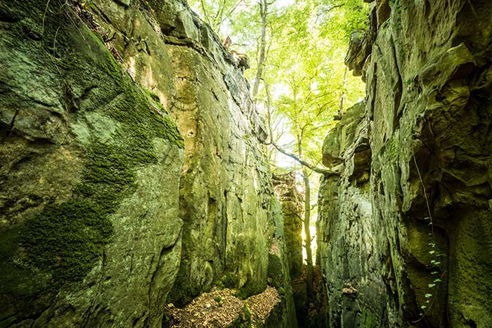 Imposante natuur met ruige rotsen in de Teufelsschlucht in de Eifel.