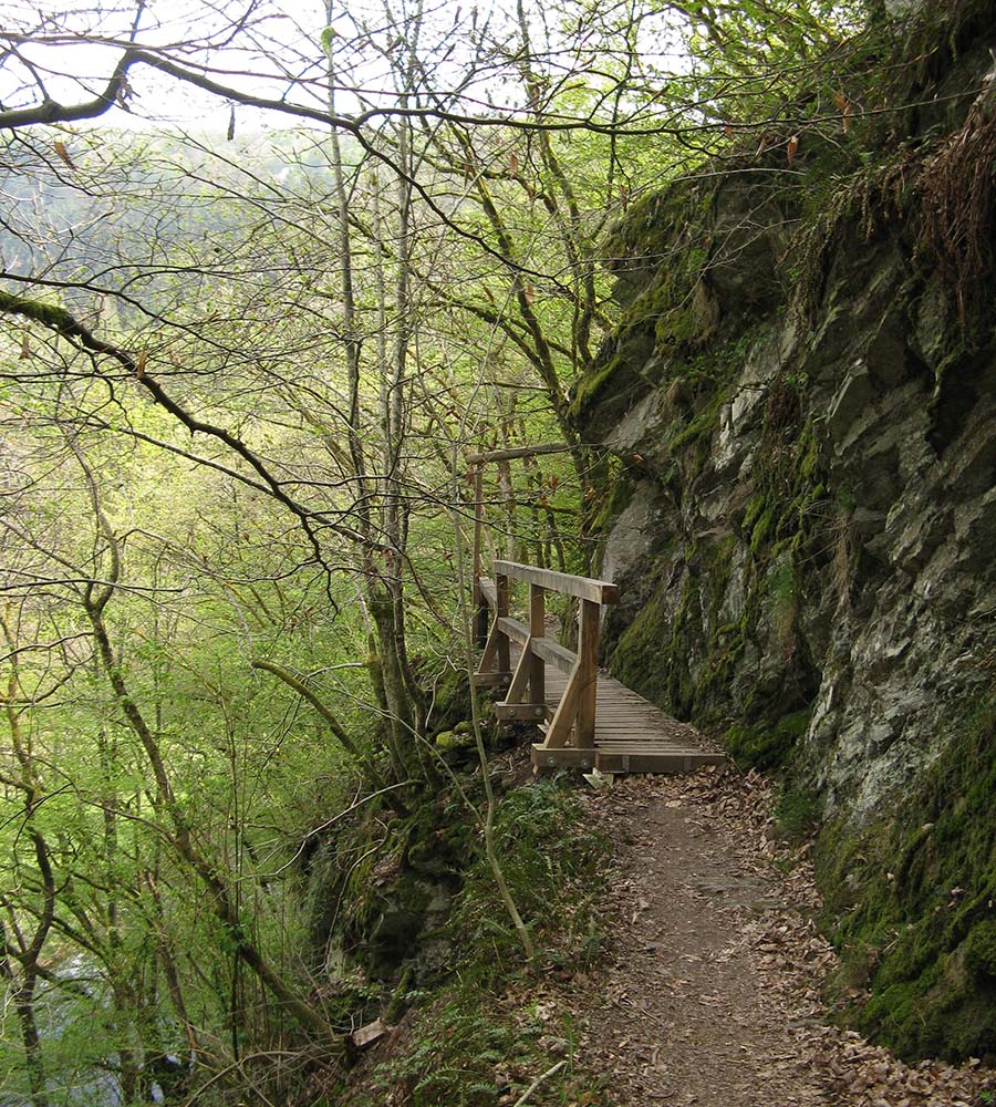 Smalle paadjes langs ruige rotsen op de wandelroute het Lieserpfad in de Eifel.