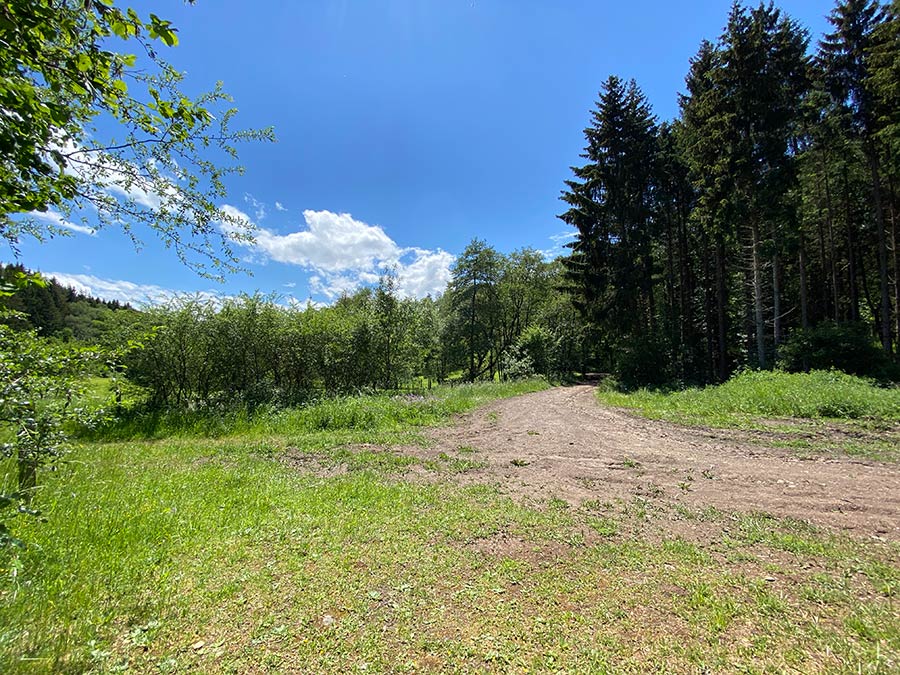 vulkanpfad in de Eifel wandelen. mooie wandelpaden in de natuur.