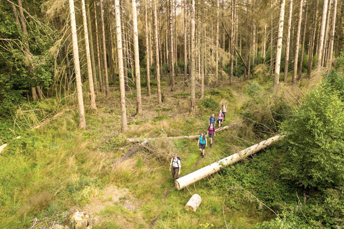 Wandeling met een ranger door het Nationaal Park Eifel
