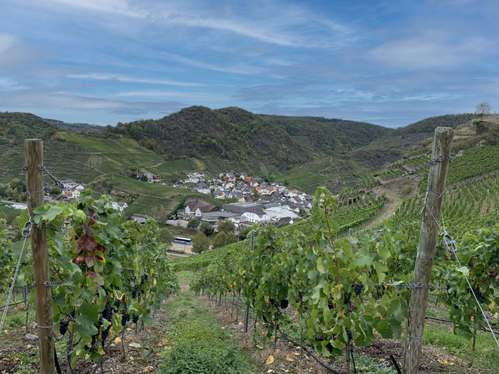 uitzicht ahrtal ahrsteig
