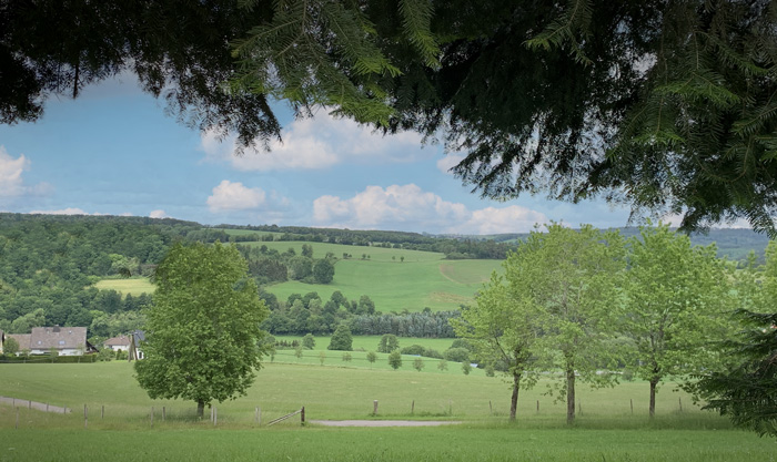 groene glooiende heuvels in de Eifel
