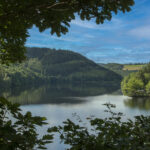 landschap met meer in de eifel