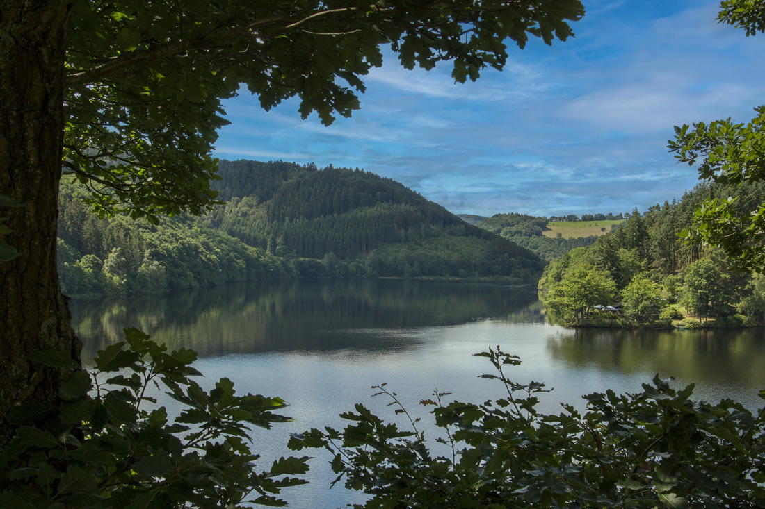 landschap met meer in de eifel
