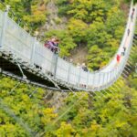Geierlay Hängeseilbrücke aus der Ferne – Eingebettet in die Natur des Hunsrücks