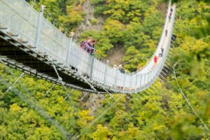 Geierlay Hängeseilbrücke aus der Ferne – Eingebettet in die Natur des Hunsrücks