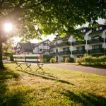 sporthotel gravenwald daun. hotel van buitenkant met boom op de voorgrond en ondergaande zon op de achtergrond