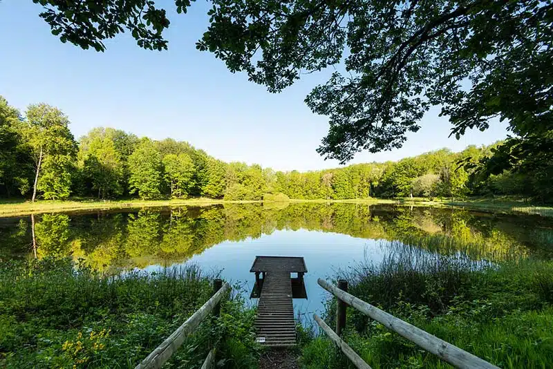 de windsborner kratersee is te vinden in het vulkanerlebnispark mosenberg. het kratermeer gezien vanaf de steiger. zicht op het spiegelende wateroppervlak met rondom de bossen van de eifel en een blauwe lucht