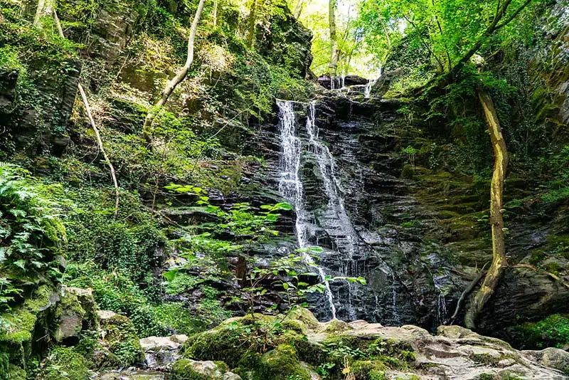 klidinger waterval. de waterval is te zien verscholen in de bossen van de eifel, het water stroomt naar beneden.